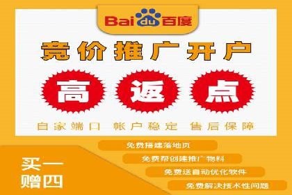 百度竞价广告投放的实战经验与案例分析